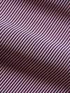 Lyndon Polo